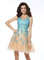 Champagne A-line Homecoming Dresses,Tulle Cocktail Dress,11480