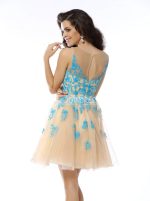 Champagne A-line Homecoming Dresses,Tulle Cocktail Dress,11480