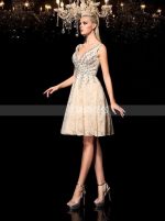 Champagne A-line Homecoming Dresses,V-neck Elegant Short Prom Dress,11489