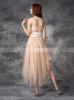 Champagne Asymmetrical Tulle Homecoming Dresses,Strapless Short Prom Dress,11437