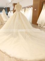 Champagne Ball Gown Dresses with Short Sleeves,Long Train Floral Wedding Gowns,11569