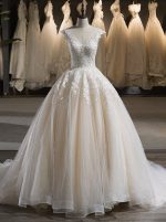 Champagne Ball Gown Wedding Dresses,Long Train Wedding Gown,11719