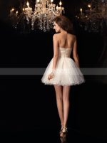 Champagne Tulle Sweet 16 Dresses,Strapless Short Prom Dresses,11451