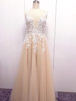 Champagne Tulle Wedding Dresses,V-neck Bridal Dress,Modern Bridal Dress,11142