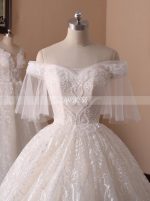 Lace Wedding Dresses with Short Sleeves,Princess Ball Gown Wedding Dress,11716