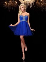 Royal Blue Sweet 16 Dresses,Tulle Lace Up Cocktail Dress,11490