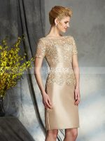 Short Mother of the Bride Dress with Sleeves,Champagne Mother Dress,11730