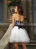 Tulle Homecoming Dresses,Sweetheart Sweet 16 Dress with Lace Bodice,11542